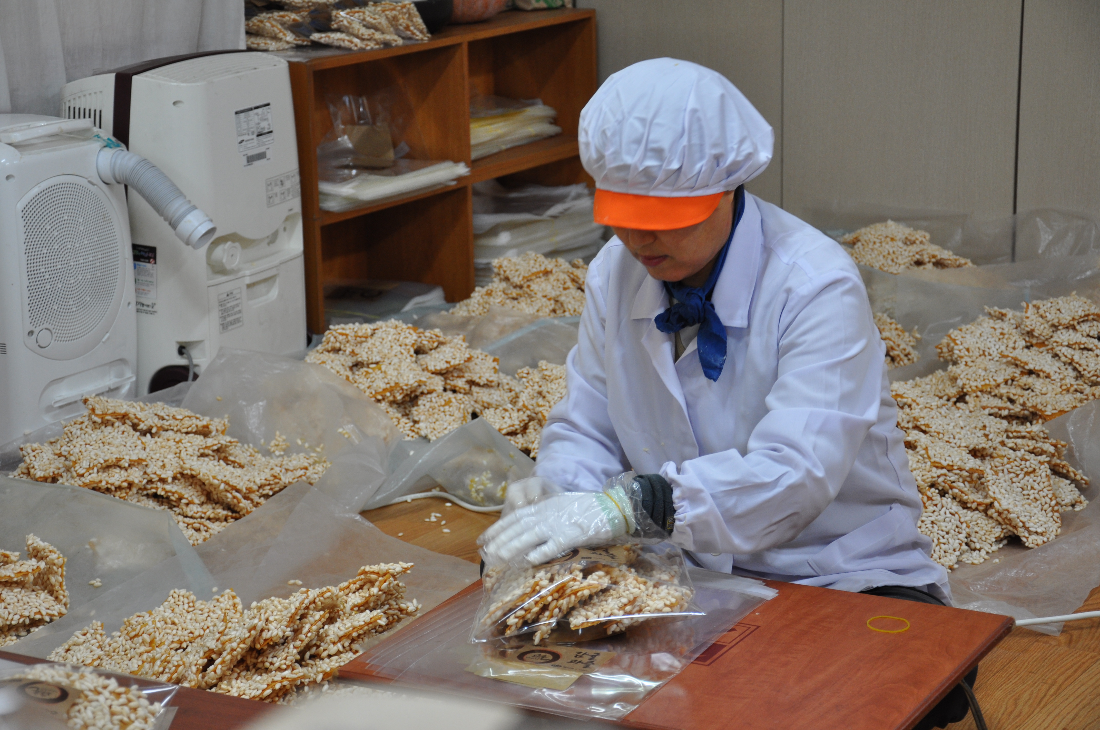 설 명절 제주 감귤과즐이 최고!